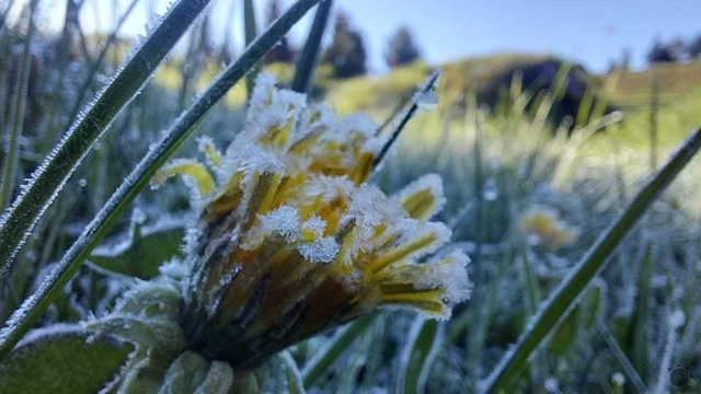 Záhradkári, pozor! Slovensko čakajú augustové MRAZY. Počasie môže poškodiť úrodu