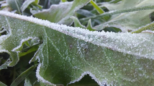 Čaká nás veľmi studená, niekde až mrazivá noc. Potom nastúpia horúčavy