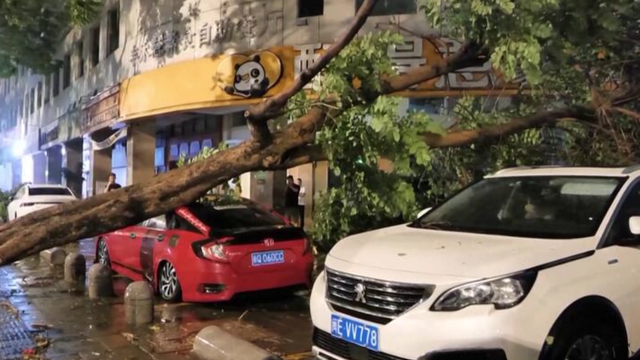 Ničivý vietor a dážď spôsobili spúšť: stovky zranených a tisíce ľudí bez domova