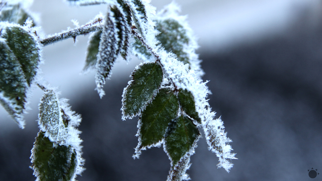 V Maďarsku padol teplotný rekord. Ide o najnižšiu letnú teplotu v histórii krajiny