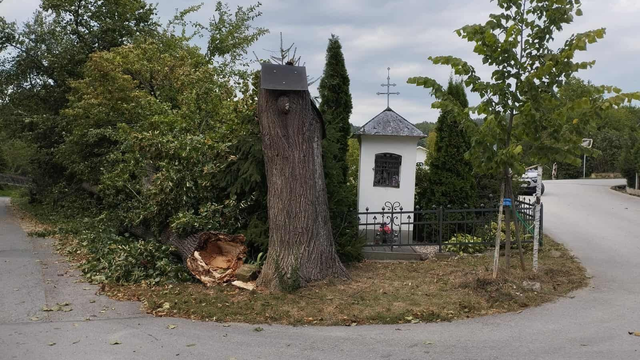 Silný vietor na Slovensku naďalej vyčíňa, strom spadol aj v mestskej časti Orlové