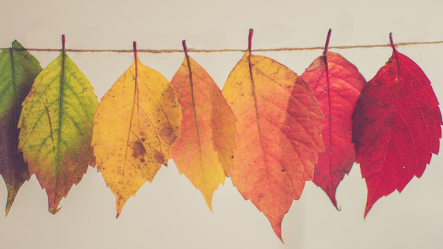 Leto končí. Začína sa meteorologická jeseň. Mení sa aj počasie
