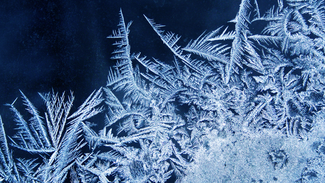 AKTUÁLNE: Dnes ráno sa objavil prízemný MRÁZ. V týchto lokalitách mrzlo