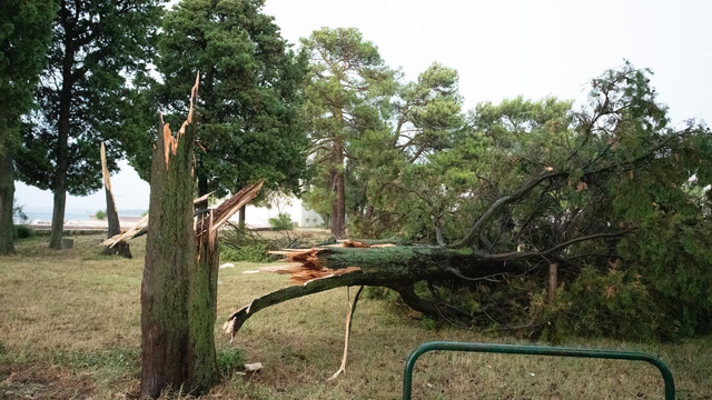 Obec na západe zasiahol downburst. Vietor polámal stromy