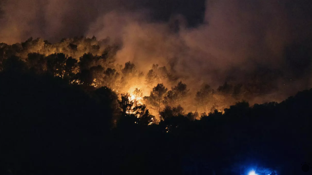 Masívny požiar zničil vinice a zranil hasičov. Situácia je kritická
