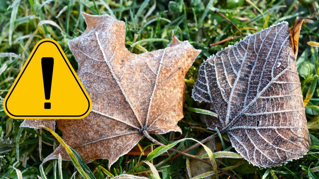 MAPA: V týchto okresoch pozor. Hrozí mráz, ktorý vám môže zničiť úrodu