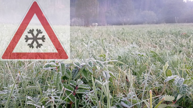 Výstraha: V noci nám hrozia ďalšie mrazy