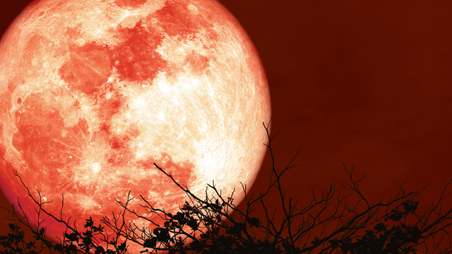 Blíži sa vzácny úkaz: Nastane „krvavý“ spln. Mesiac nadobudne červenú farbu