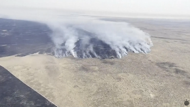 Tretina národného parku vyhorela. Uhynulo mnoho zvierat