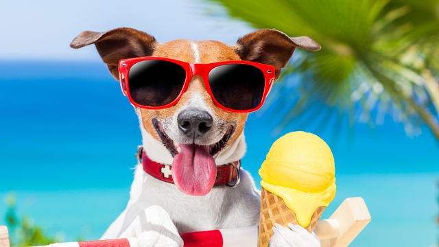 Na Slovensko mieri LETO a teploty znova vystúpia na +28 °C. Daždivé počasie končí