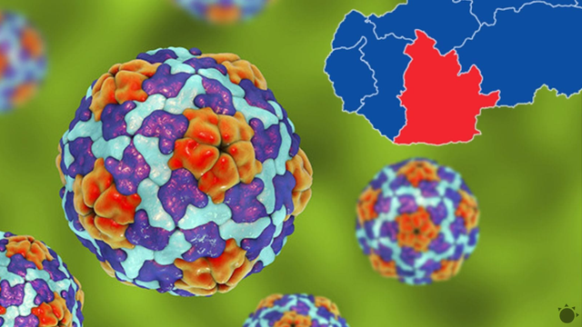 Situácia začína byť neúnosná. Na západe Slovenska sa rozmáha žltačka