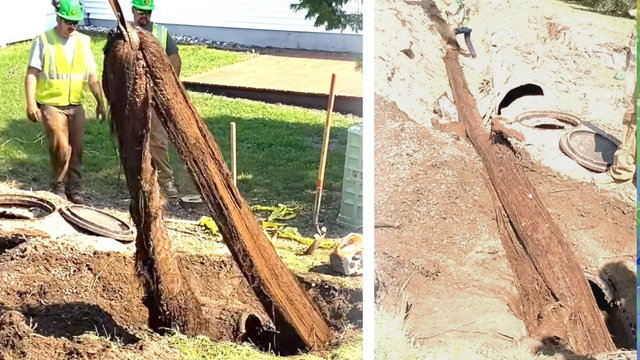 Neuveríte, čo vytiahli z kanalizačného potrubia. VIDEO je virálne