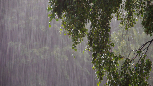 Leje ako z krhly. Na niektorých miestach napršalo dvakrát toľko zrážok ako za celý september