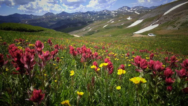 Na tomto mieste prakticky nie sú žiadni ľudia. Napriek tomu hmyz masívne zomiera