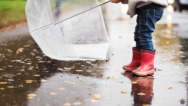 Slovensko potrápilo nepriaznivé počasie. Úhrny zrážok presiahli 80 mm a vietor dosahoval silu víchrice