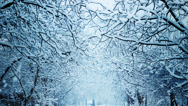 La Niña obráti zimu hore nohami: Kedy udrú silné mrazy aj na Slovensko?