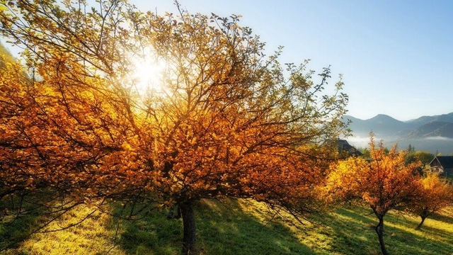 Víkend bude teplý. Prečo však nemôžeme povedať, že ide o BABIE LETO?