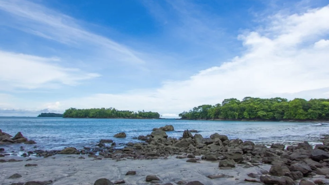 Vedci varujú: Jav, ktorý fungoval 40 rokov, sa tento rok vôbec neobjavil! Môže to mať vážne dopady