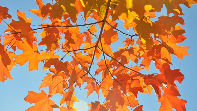 Počasie chystá ďalšiu zmenu a tá sa vám teraz bude určite páčiť