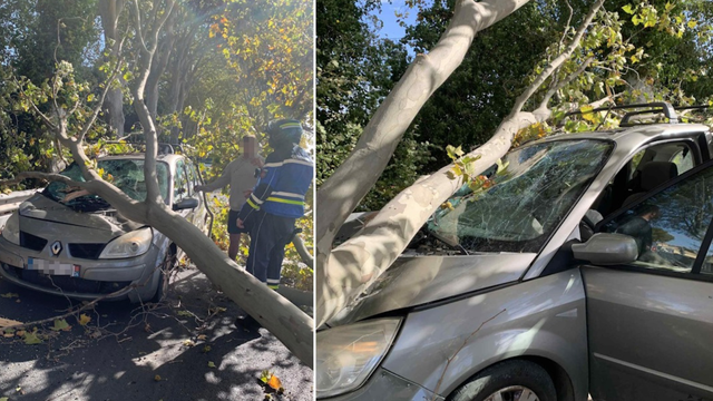 Padajú stromy, strechy strháva vietor. Začína to byť už nebezpečné