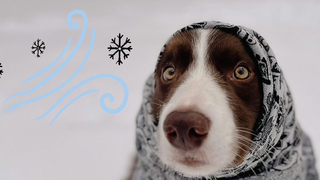 Nad Európou sa usadila REX blokáda: Tento vzorec počasia mení predpoveď