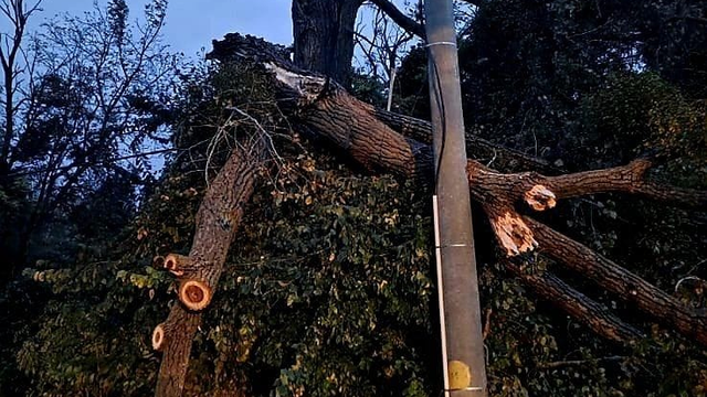 Vietor sa na Slovensku poriadne vyzúril. Hasiči aj energetici mali plné ruky práce