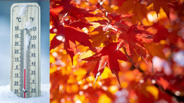 Teploty v noci klesali až k -6 °C. Kedy sa konečne oteplí?