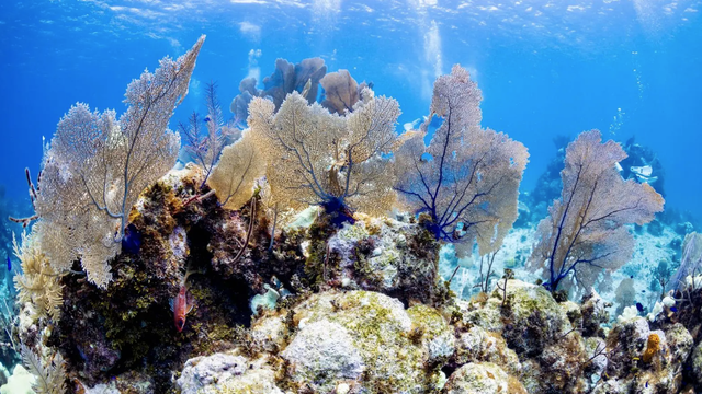 Dosiahli sme prvý kritický bod. Ďalšie sú na ceste. Čo by sme mali robiť?