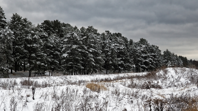 MAPY: Blížia sa zrážky. Cez víkend bude pršať aj snežiť. Kedy a kde?