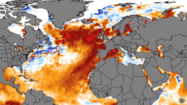 Severoeurópske moria sa prehrievajú. Bude sa to diať stále častejšie?