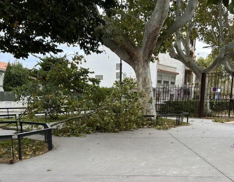 škody v meste po vyčíňaní vetra, © Helena Humbert