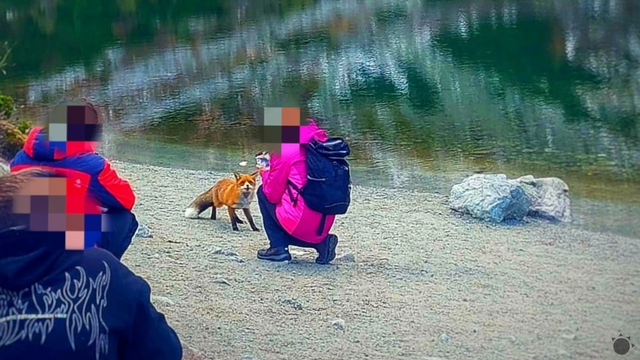 Toto v prírode určite nerobte! Pred konaním turistov varuje aj Správa TANAP-u