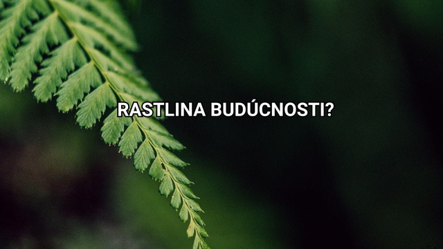 Pod nosom nám rastie surovina budúcnosti. Len o tom ešte netušíme