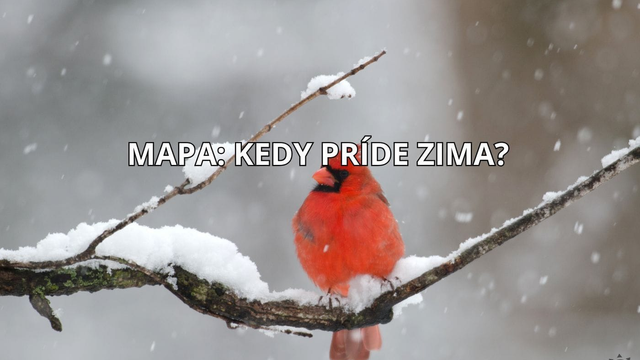 MAPA: Toto je aktuálna predpoveď, kedy sa na Slovensku ochladí. Príde aj sneh?