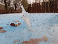 V Maďarsku sa objavil zriedkavý jav. V bazéne vyrástol nevšedný ľadový šíp