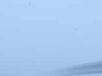 Pozor na hmlu na týchto úsekoch, zima sa blíži: Slovensko čaká chladný týždeň a sneženie