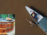 Jazerá sú horúce ako voda vo vírivke, pralesy čelia katastrofe