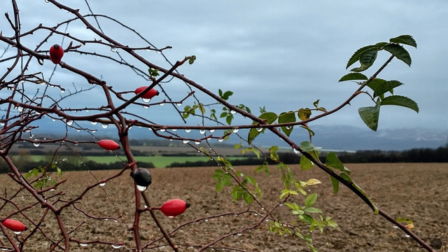 AKTUÁLNE: Zrážky už miestami prekročili novembrový priemer. Časť Slovenska bojuje s povodňami