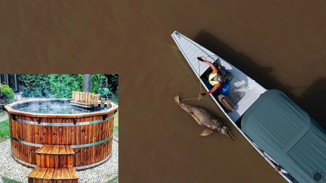 Jazerá sú horúce ako voda vo vírivke, pralesy čelia katastrofe