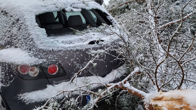 Strom spadol na zaparkované auto. Nepriaznivá situácia na Slovensku pokračuje