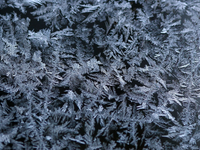 V noci bude mrznúť na celom Slovensku. Teploty klesnú do -6 °C, v nížinách do -2 °C