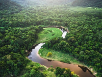 Amazonský dažďový prales sa spamätáva: Odlesňovanie v brazílskej časti výrazne kleslo