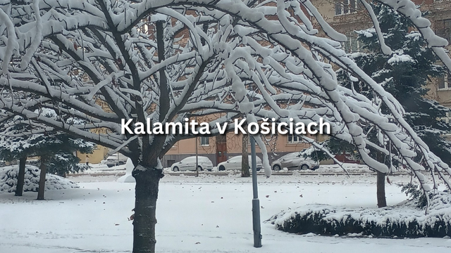 Košická ZOO je zatvorená. Mesto vyhlásilo 1. kalamitný stupeň