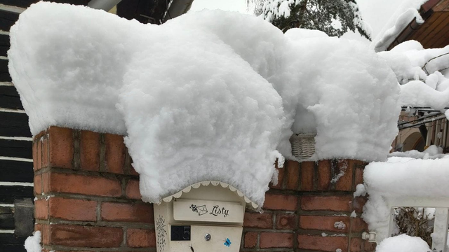 Snehová kalamita: 150-tisíc ľudí bez elektriny, napadlo 50 cm, čo je viac, ako sa čakalo