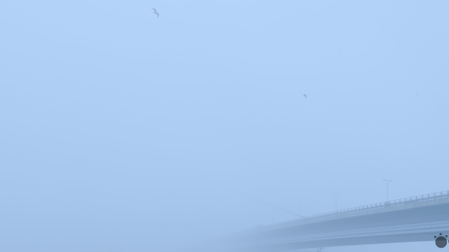 Pozor na hmlu na týchto úsekoch, zima sa blíži: Slovensko čaká chladný týždeň a sneženie