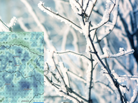 Pozor, v noci bude na väčšine Slovenska mrznúť. Prízemná teplota klesne až na -4 °C