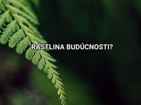 Pod nosom nám rastie surovina budúcnosti. Len o tom ešte netušíme