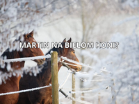 Príde Martin na bielom koni a prinesie sneh? Toto je PREDPOVEĎ