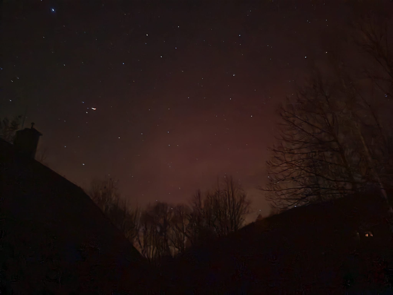 Jav nazývaný SAR, Terchová. Foto: Lucia Konštiaková