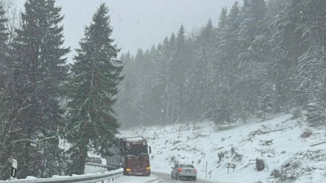 Komplikácie sa stále kopia: Na trať spadol strom, výpadky prúdu narastajú a nehody pribúdajú